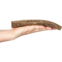 K9warehouse 엘크 뿔 라지 홀독 츄 트릿