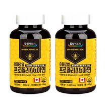 슈퍼로얄 프로폴리스 2box 항산화 구강 면역 인후 목 50대 플라보노이드 목에좋은차 목이부었을때