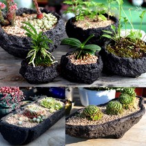 화산석 화분 돌화분 [12종/택1] 월동 바위솔 정원 특이한 석부작, 7-숲속정원 특대형 259