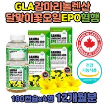 대용량 달맞이꽃종자유 PMS 혈행 감마리놀렌산 영양제 피부 생리 월경 전 여자 여성 중년 불포화지방산 gla 식물성에스트로겐 20대 50대 60대 프로스타글라딘 달맞이씨유 달마지꽃오일 감마리놀렌산 240mg 감마리놀 감마리놀렌 비타민e