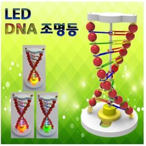 LED DNA 조명등만들기 spa-96
