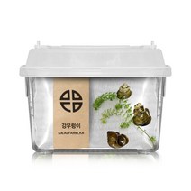자연학습 강우렁이 관찰세트 과학탐구, 쿠팡 1, 쿠팡 본상품선택