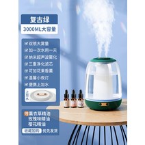 가정용 가습기 원룸 촉촉 무선 자연식 초음파식 가열식 복합식 USB 에어워셔, 10 [그린·더블 스프레이 대용량