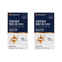 엠에스엠 2000 식이유황 식용유황 관절 연골 건강 영양제 약4개월분 단일성분 디메틸설폰, 2박스, 120정