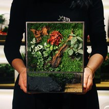 비바리움만들기 이끼테라리움 DIY 어항, E형, 1개