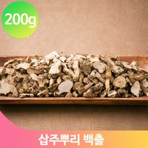 식물뿌리 약초 백출 200g 삽주차 담금주 약재 맛좋고 건강에좋은 삽주뿌리