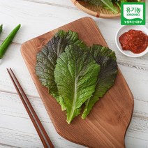 자연농원 [자연맛남] 유기농 적겨자 1kg, 1