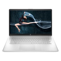 HP 17s-cu2032TU 512GB WIN11 인강용 사무용 노트북 추천, WIN11 Home, 16GB, 코어i5, 실버