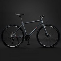 RALEIGH 로드 바이크 자전거 학생 출퇴근 입문용 30만원대 선물, 24단, s9 딥그레이 플랫핸들
