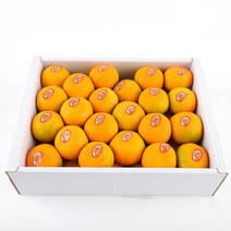 제주 하우스감귤 3kg (소과 / 중과(로얄과) / 대과 선택) 귤, 하우스감귤3kg(소과/45과전후)