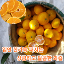 [제주산지직송] 마미템 제주 비가림 하우스 귤 3kg 5kg 10kg 고당도, 감귤2.5kg(2S-M)