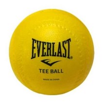 에버라스트 티볼 공