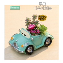 루고 화분 다육식물 다육이 미니 수제 캐릭터 떠나요 오픈카