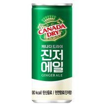 코카콜라 캐나다드라이 진저에일 250ml X 30개
