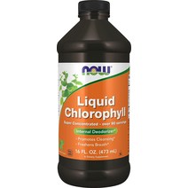 Now 나우 액상 클로로필 고농축 엽록소 473ml
