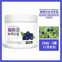 오스트리아산 빌베리 농축 분말 농축액 야생 블루베리 원물 가루 파우더 고함량 안토시아닌 폴리페놀 플라보노이드 눈 건강 빌베리 차 tea 쉐이크 온가족 추천 bilberry, #영에버그린#빌베리농축분말 250g(스푼증정), 3통