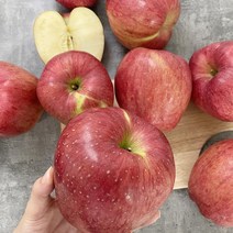 달티어 안동사과 홍로사과 부사 가정용 5kg, (정품) 홍로 소과 10-13과2kg