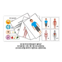 유아용 우리몸관찰 학습카드 만들기키트 유아미술키트 돌봄놀이 아이돌봄시간 어린이만들기키트 미술활동