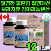 캐나다 감마 리놀렌산 보리지 보라지유 보라지 오일 50대 여성 갱년기 영양제 추천 호르몬 여자 프로스타글란딘 60대 폐경기 중년 종자유 40대 30대 보리지꽃 GLA 건강 식품, 2박스(12개월분)