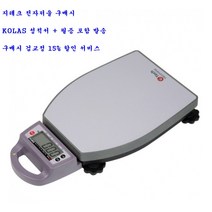 디와이교정계측기 G Tech 지테크 GL-6000 이동형 전자저울 20kg 40kg 60kg 100kg 150kg 200kg 추천 구매 수리, 100kg~50g