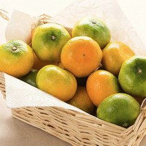 제주 타이벡 감귤 3kg (소과) 선물세트, 1개