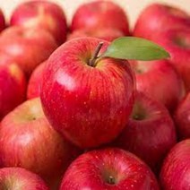 강원도 인제 대암산사과 꿀부사사과 5kg 13-15과 양구고랭지사과, 상세페이지 참조