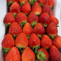 황금열매 쥬스용 하우스 생딸기 설향 딸기 업소용 주스용/잼용 1kg+1kg, 주스용/잼용 딸기 1kg+1kg