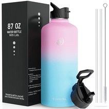 Umite Chef 스테인리스 스틸 스포츠 물병 2.5L(84온스) 진공 단열 워터 보온병 머그잔 넓은 입구 워터 플라스크 새로운 손잡이 빨대 및 뚜껑 핫 콜드 이중 벽, Fantasy