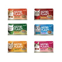 동동이네 고양이 캔 동원 뉴트리플랜 캣 캔 160g 6종 중 택1 배변활동 도움 그레인프리 고단백 습식 통조림 캔간식, 1개, 흰살참치와 치즈