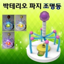 박테리오 파지 조명등 만들기 (5인용), 단품