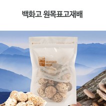 MDF9206 DHD 빼어날수 원목표고 백화고버섯 (건버섯/버섯/석이버섯/표고버섯)