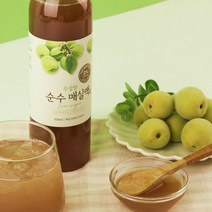 참들애 지리산 청정 산청 매실 100% 무설탕 매실원액 500ml
