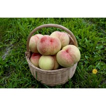 (햇사레)프리미엄 복숭아 4kg 2.5kg 크고 맛있는 빅숭아 달달하고 쫀득쫀득한 백도, 대과 4kg, 1개