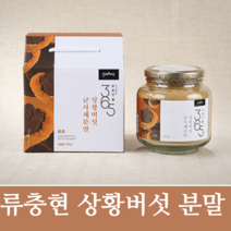 류충현 약용버섯 상황버섯 뽕나무 목질진흙 균사체 분말 가루 상황버섯차 물 복용법 먹는방법 추천 300g, 1개