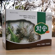 국내산 와송즙 100ml x 60p 1박스 주웰빙 엄마애손