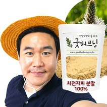 차전자피 식이섬유 가루 분말 차전차피 효능 500g 굿허브닝, 500g x 1팩