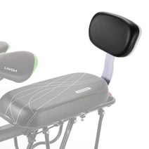 렌탈 전기자전거 베이직 초저가, 자전거 뒷안장용 허리받침대 BSSW2Wh