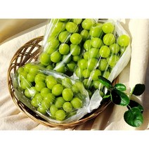 [국내산] 초고당도 샤인머스켓 3~4수, 2kg