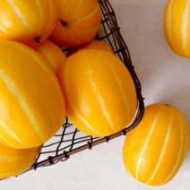 복일농산 백화점납품 참외 5kg (1012과 내외), 구성, 단품