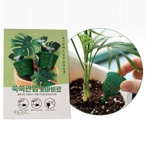 식물키우기 아이비 관엽 화분비료 2입 5개 25077ea, 장연다육 본상품선택