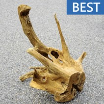 유목 대형 49.5cm 국산