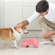 리포웰 강아지 고양이 밥그릇 애견 반려견 식기 사료용기 소형견 중형견 대형견, 중형, 민트