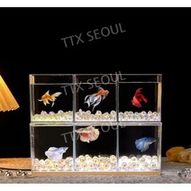 3자어항 일체형 스마트 식물 수조 축양장 수족관 물고기, 4칸 + 펄 코랄 장식