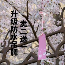 사쿠라후우링 고급 일본종 감성인테리어 후린 절종 벚꽃, 일본풍 우산
