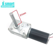 웜기어 베벨 체인 DC 24V PMDC 웜 기어드 모터 고 토크 12V 볼트 반전 감소 자동 잠금 확장 샤프트 5840-31, 24v 5rpm, package R