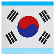 STNY_거리용 태극기(80x120cm) 용 다용도국기 응원용깃발 가정용 계양용 도태 한국