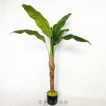 인조 나무 대형 조화 2m 3m 식물 야외 목련 카페 장식 핑크 소품 거실 바나나잎, 120cm(줄기1)