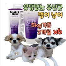 유당불내증 고양이 강아지 장건강 장 유산균 프로 바이오틱스 비피더스 펫 반려동물 대형견 100억마리 고농축 리얼 설사 변비 유당없는 소화장애 배변활동 항산화 면역력 영양제 보조제, 6개
