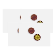 메종브아시에 당의정 레몬 75g Maison Boissier Dragees Fruitees Citron, 5팩