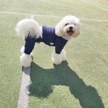 바이현 원마일 기모 올인원 강아지옷 애견의류S-2XL, 네이비